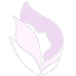 produk nuskin